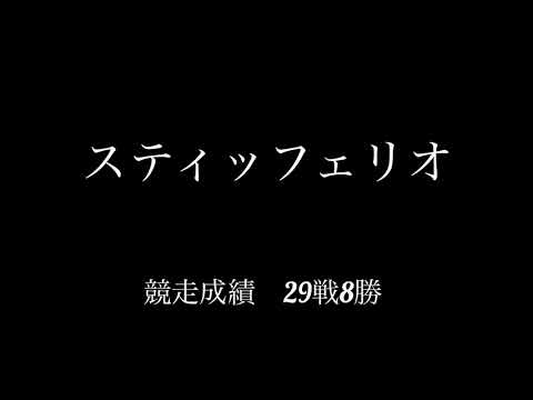スティッフェリオ　Restart
