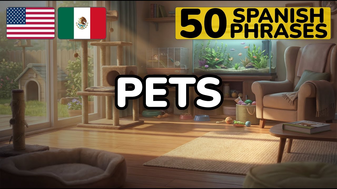 Spanish Pet Phrases You'll Actually Use