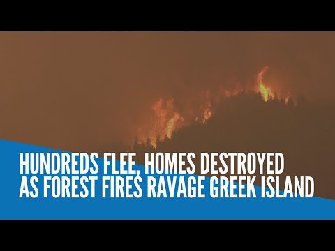 Hundreds flee, homes destroyed as forest fires ravage Greek island