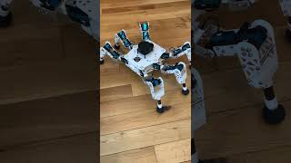 3D Printed Hexapod Robot Part 2