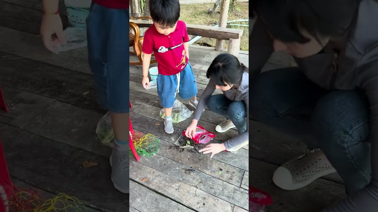 ร้านตกปลา 