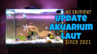 Update Akuarium Lautku “Anemone tank” | buat kamu yang pengen banget tapi budget masih tipis