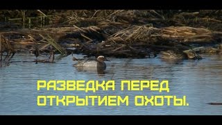 Разведка перед Открытием Весенней охоты 2017.