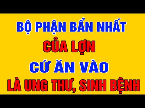 Video: Có phải tất cả khối lượng cỏ ăn vào đều là nguyên nhân gây ra sự tăng trưởng và chất thải của động vật ăn cỏ A?