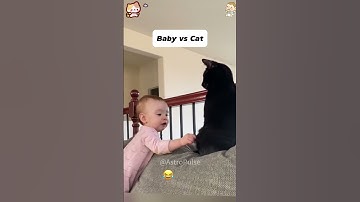Baby VS Cat 😀 #funny #fun #babydevelopment #baby #youtube #fyp #funnyvideo