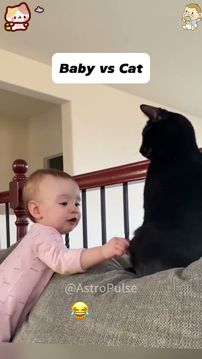 Bayi VS Kucing 😀 #lucu #menyenangkan #perkembanganbayi #bayi #youtube #fyp #videolucu