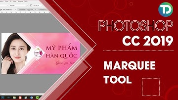 MARQUEE TOOL, công cụ vùng chọn cơ bản trong PHOTOSHOP CC 2019 - Tri Doan