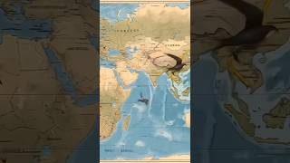 “Never Lands, Only Flies 😳🕊️”