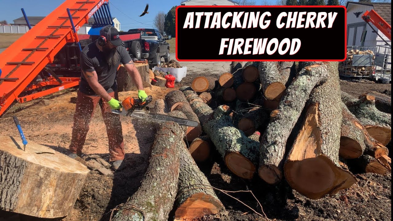 CHERRY FIREWOOD LOGS SLAYED - #196 - YouTube