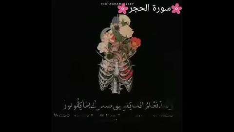 💖سورة الحجر💖 الايات (٩٧'٩٨'٩٩)💖