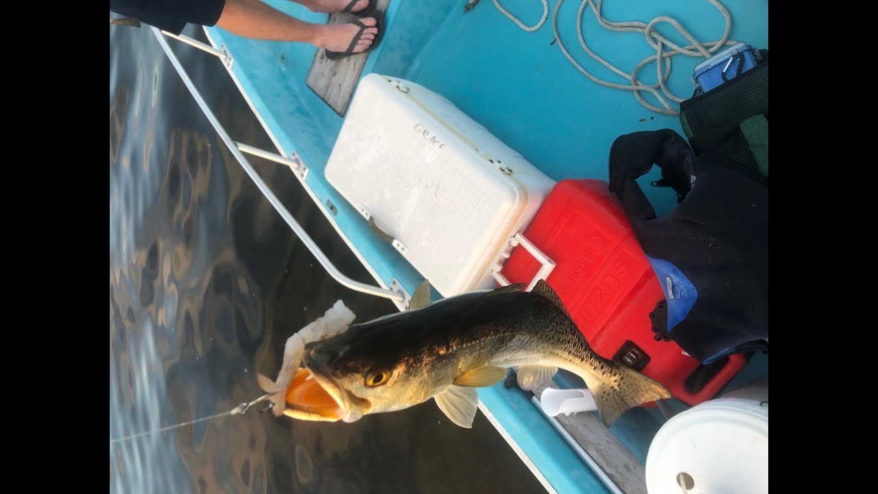 4th of July Trout Fishing Pensacola YouTube