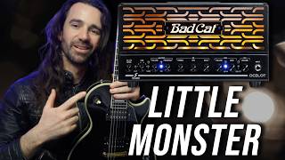 Bad Cat Ocelot || All Tones, No Talk