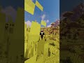 What's The Rarest Structure In Minecraft?