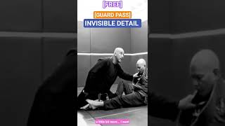 Free Guard P Invisible Detail .