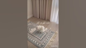 سورة الأعراف|الآية204-205