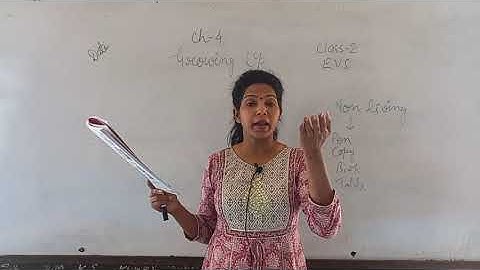 Class II EVS Ch  4 Growing up Part   1