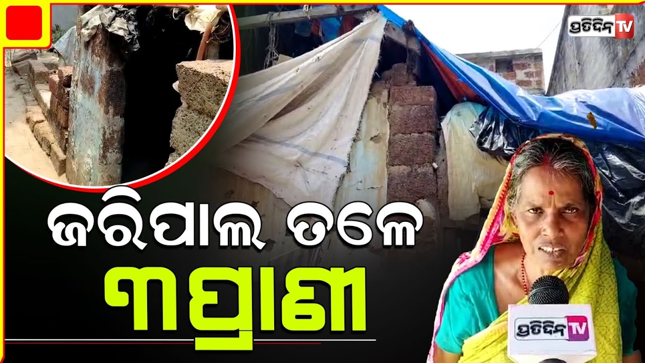ଆବାସ ଯୋଜନା ପାଲଟିଛି ସାତ ସପନ, ମୁଣ୍ଡ ଗୁଞ୍ଜିବାକୁ ନାହିଁ ଘର ଜରିପାଲ ତଳେ ୩ପ୍ରାଣୀଙ୍କ ବିତୁଛି ଜୀବନ