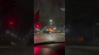 Fuerte viento hace caer árbol en Providencia y provoca corte de energía