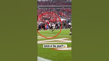 CJ Daniels CATCH OF THE YEAR?!😱 #collegefootball #miamifootball #cfb #footballhighlights