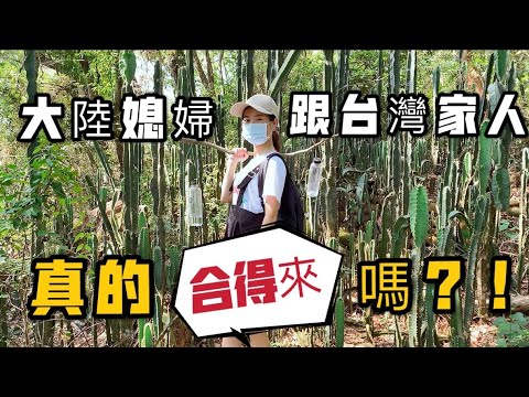 人前清純人後瘋狂！被萬人唾棄的出軌女星，1個多人運動下體遭狂塞，1個淪富豪洩慾工具被玩進醫院#張瓊姿 #許純美 #張艾嘉 #星聞挖挖哇