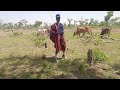 Makigo Nganziku Nziku Zagu 