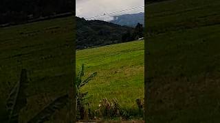 Trouvez Le 🐦🧐 Resimi