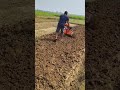 R.R ENTERPRISE 👉SMART AGRO SOLUTION 😎 8 HP PROMAX PETROL ENGINE DEMONSTRATION VEGITABLE FARM 💪💪💪👌