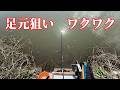足元を狙うへらぶな釣りはワクワクがとまらない【千葉県香取市 大須賀川】