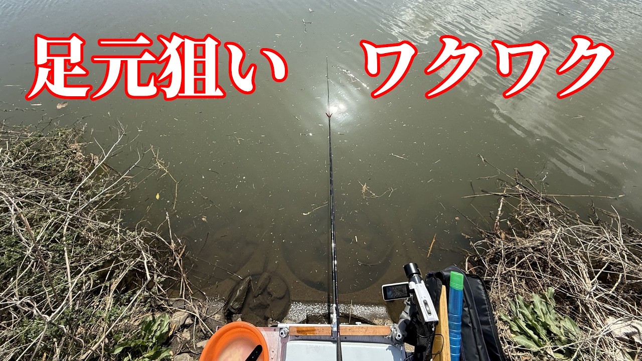 Fishing for crucian carp right at your feet is an incredibly