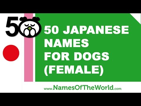 50-japanese-names-for-female-dogs---best-dog-names---www.namesoftheworld.net