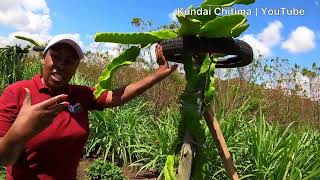 How She Is Making Millions With Fruits Deep In Rural Kenya