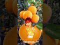 ORANGE 🍊 #dragonsasori #viral #youtubeshorts #youtube #shorts #video #viralshorts #shortvideo #fyp