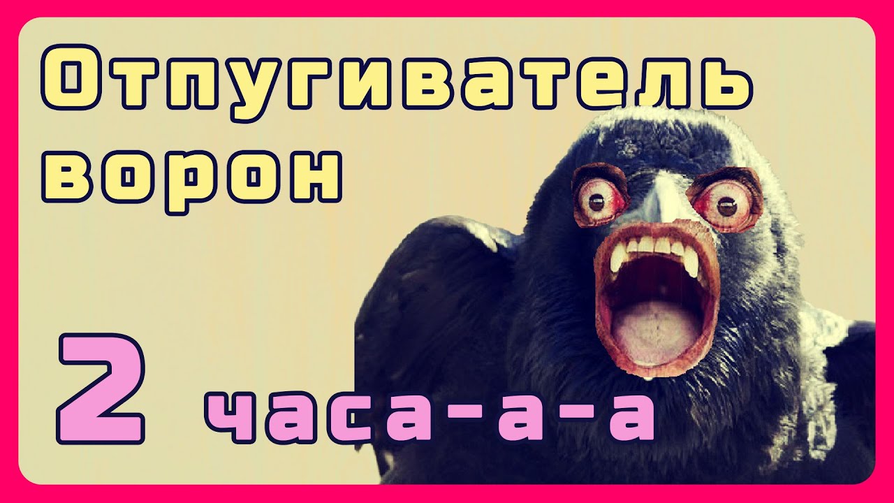 Звуки отпугивающие голубей. Крик ястреба для отпугивания ворон. Уханье Совы звук. Спугнешь ворону тебя. Хищные птицы ВКОНТАКТЕ акция.