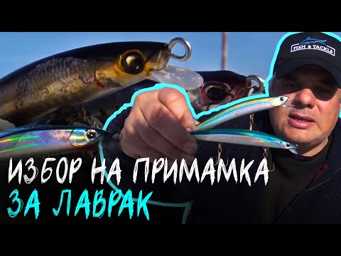 Видео: Избор на прясна риба