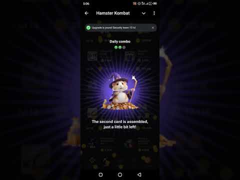 8 july hamster