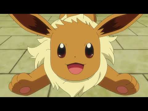 Eevee Cute Moments