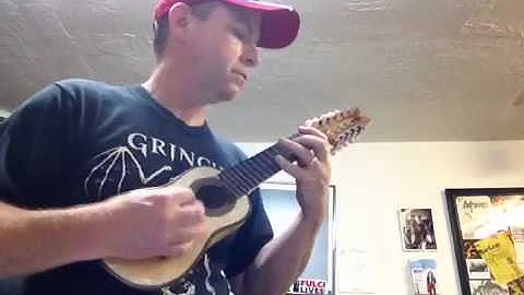 Bolivian CHARANGO Mandolin Jam