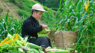 Dwarf Family Harvesting Corn Garden Goes to the market sell  Make Brooms Handmade  Family Care.