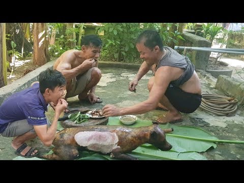 Video: Món ngon cho chó nóng