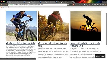 Flex Page Row Configuration Tutorial - Tridion 2013 Showcase for the State of Minnesota