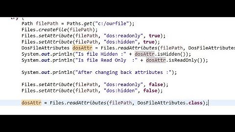 How To make files hidden and read only in Java