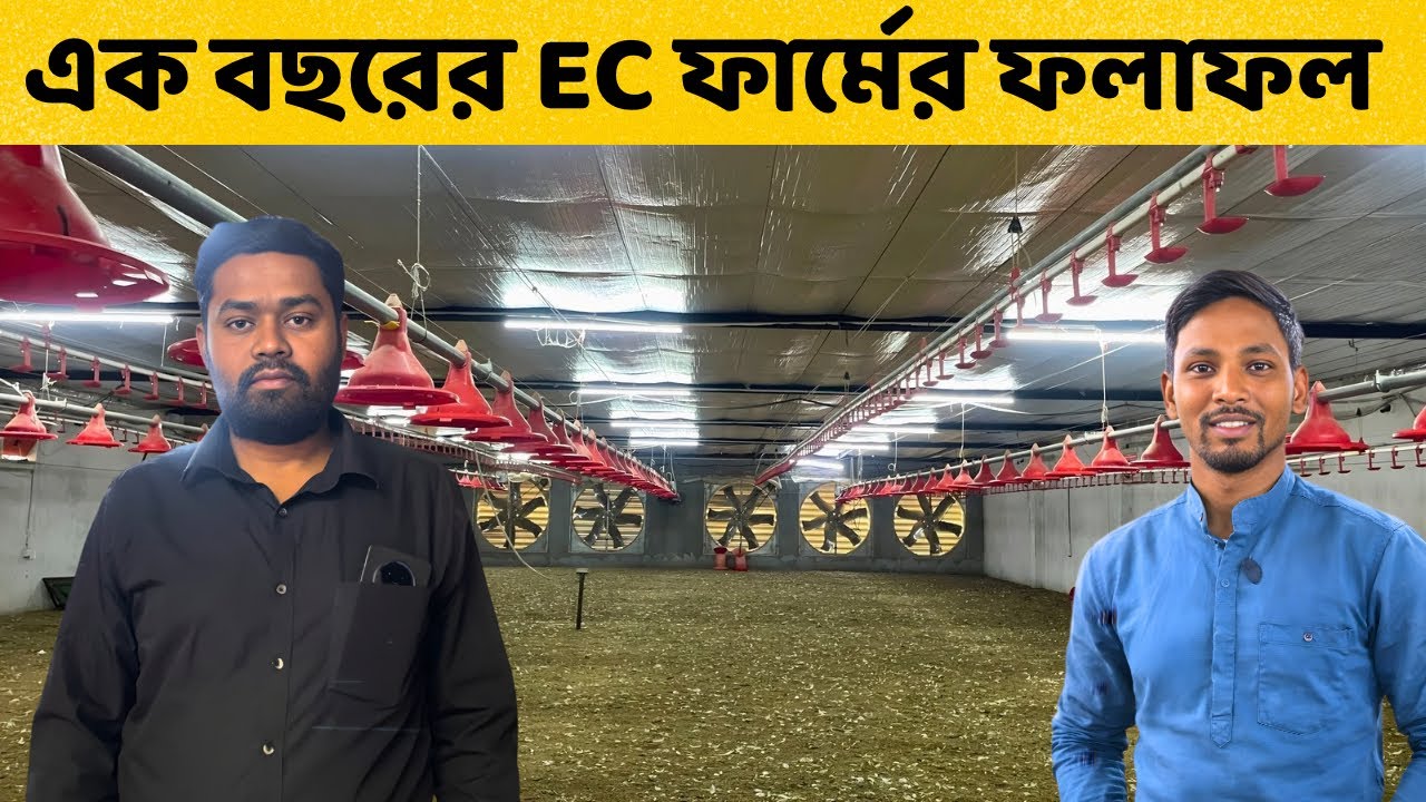 এক বছর EC পোল্ট্রি ফার্ম করার পর কি বুঝলেন | Ec Poultry Farm In West Bengal