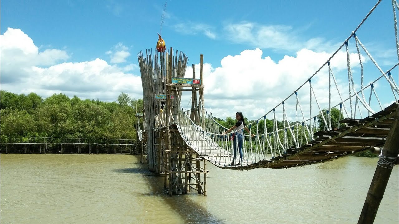 Yogyakarta Part 2Hutan MangroveJembatan Apiapi Kulon