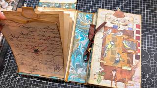 The Case For Nature Altered Lap Book Episode 9