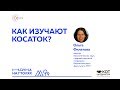 Ольга Филатова: Как изучают косаток?