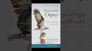 Return of the Osprey