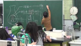 高三選修生物(上) 4-2 20151023