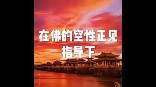201710 在佛的空性正见指导下22692