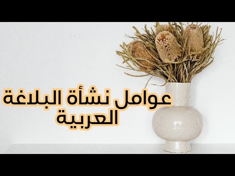 تفريغ المحاضرة الثالثة عوامل نشأة البلاغة العربية الفصل الثالث