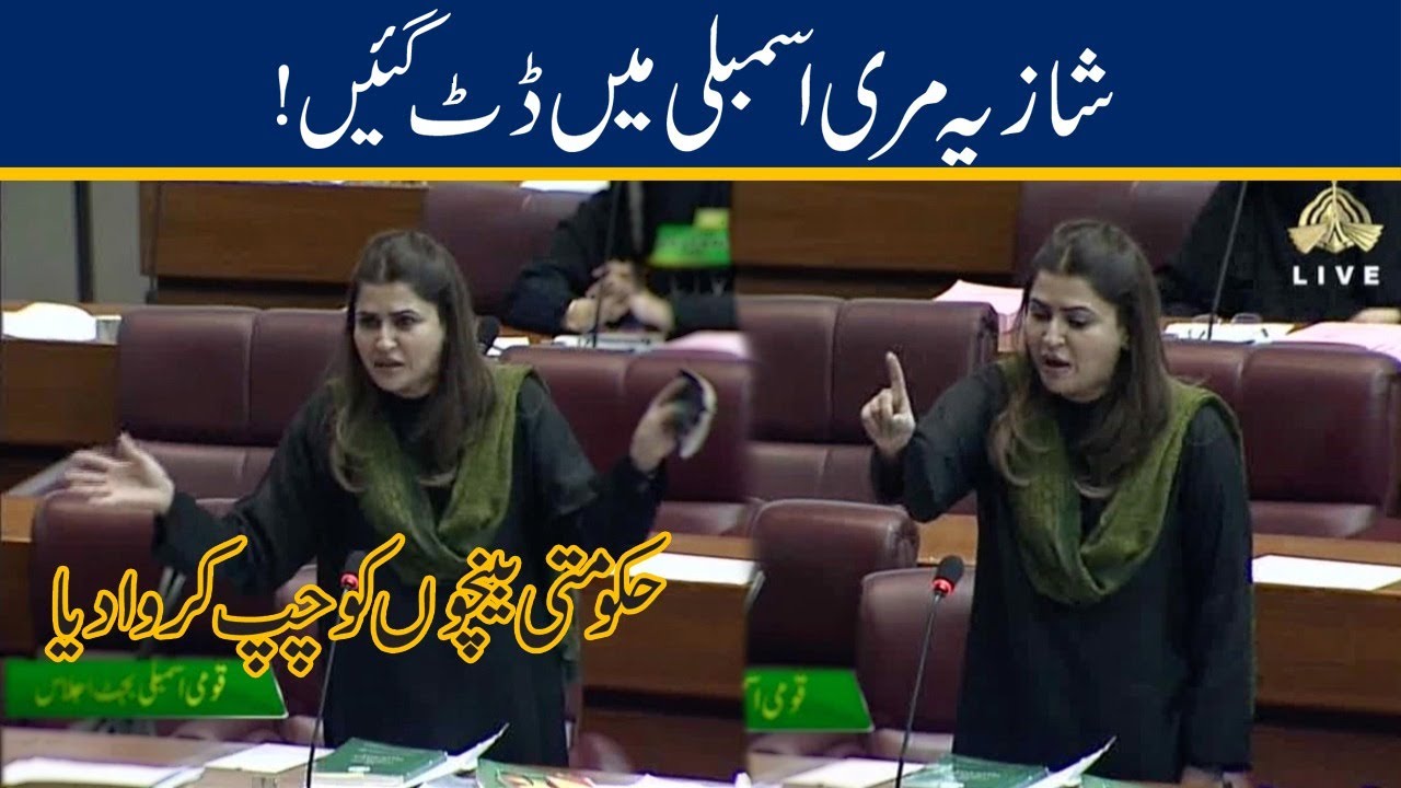 Keep Quite l Shazia Mari Got Angry In Assembly